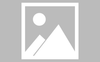 新昌网页优化和设计人才（网站优化职位）